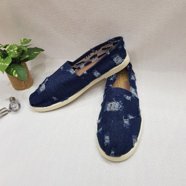 Giày toms jean rách