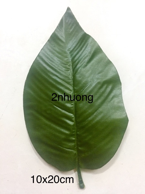 Lá nhựa giả lớn to có gân lỗ cắm