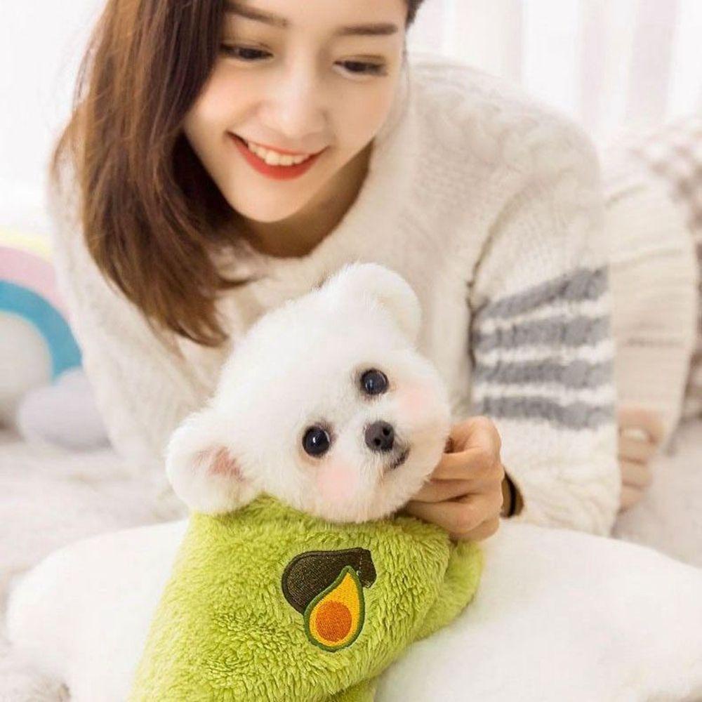 Áo Thun Mềm Mại Họa Tiết Trái Cây Dễ Thương Cho Thú Cưng