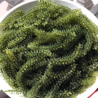 100g rong nho tách nước thượng hạng đạt tiêu chuẩn xuất khẩu bao chất lượng