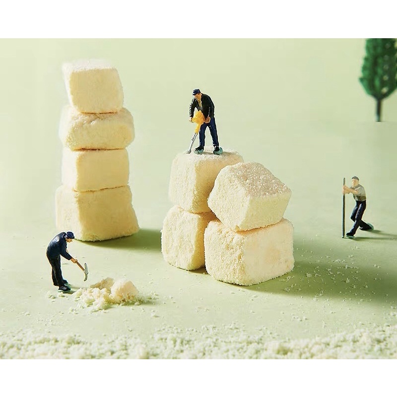 tàu hủ (tofu) sấy khô dành cho hamster / sóc / dumbo / rat / đuôi mập....