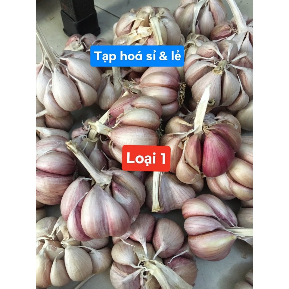Tỏi phan rang 500g / 1kg