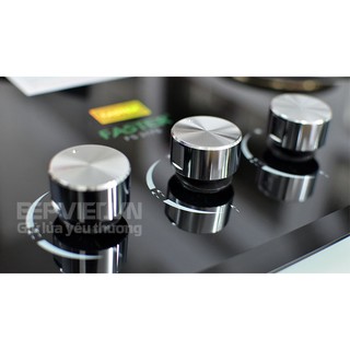 Bếp gas âm FASTER FS-317S