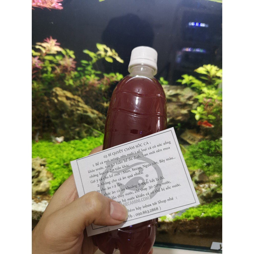 Vi sinh PSB làm trong nước bể cá