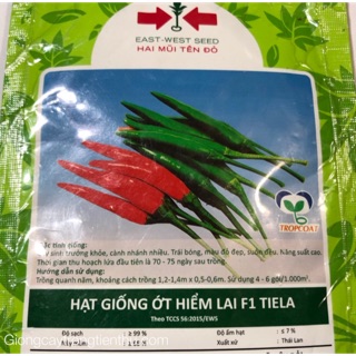 HẠT GIỐNG ỚT HIỂM LAI F1 TIELA