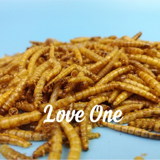 Sâu khô lớn & nhỏ (bịch 20g)