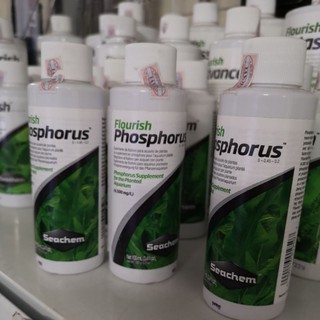 Chăm sóc bể thủy sinh Seachem flourish phosphorus