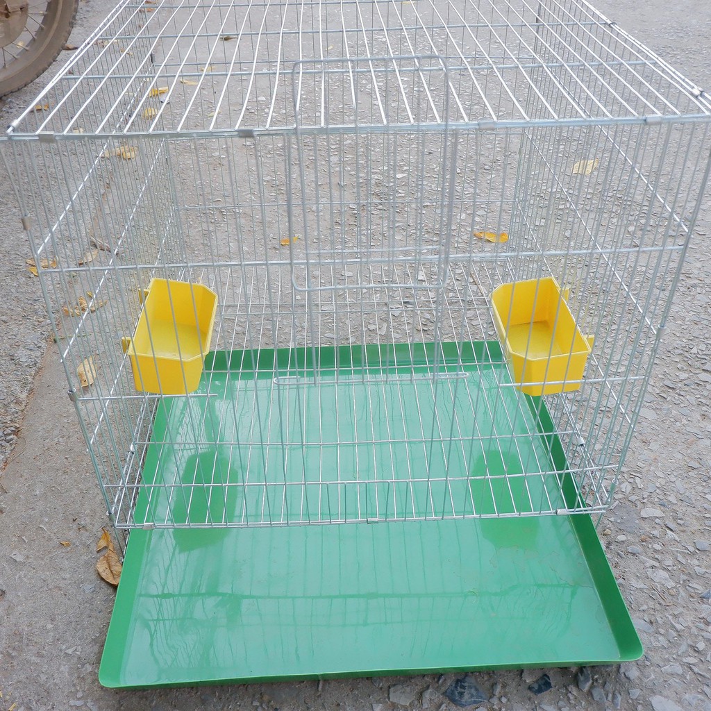 Lồng chim bồ câu 60 x 50 cm luôn phụ kiện