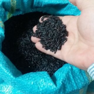Nếp than - nếp cẩm túi 1kg