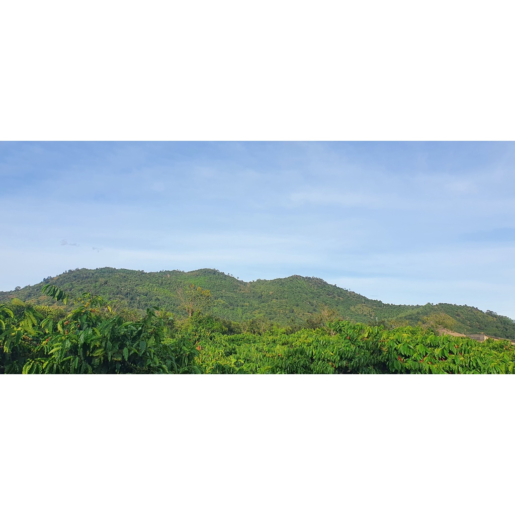 Cà Phê Núi Lu x1 (500gr) | BigBuy360 - bigbuy360.vn