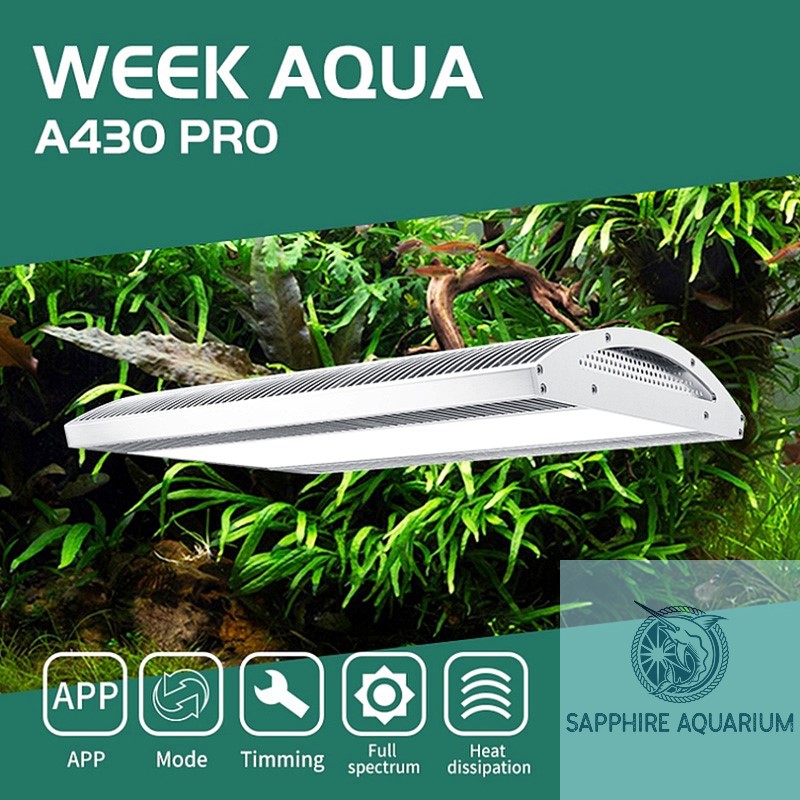 Đèn Thủy Sinh Week ARK Pro A430