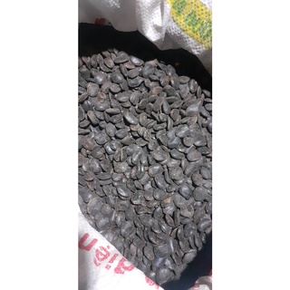 1kg Hạt giống lim xanh