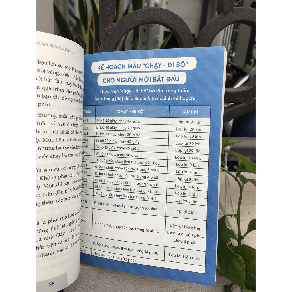 Sách - KHÔNG BAO GIỜ NGỪNG CHẠY - Pandabooks | BigBuy360 - bigbuy360.vn