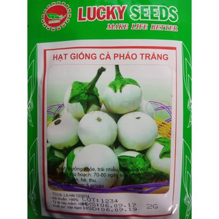 Hạt giống cà pháo trắng -2gr