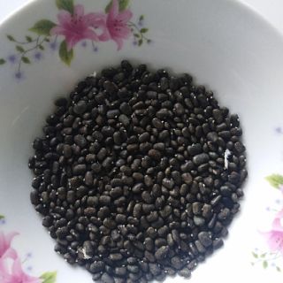 Hạt giống hoa đậu biếc 1k /3 hạt