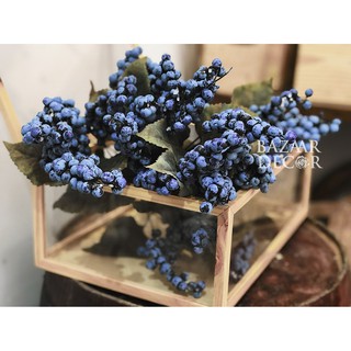 Cành quả việt quất Blueberry 65cm