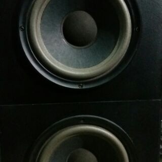 Loa Bose 301 Seri IV