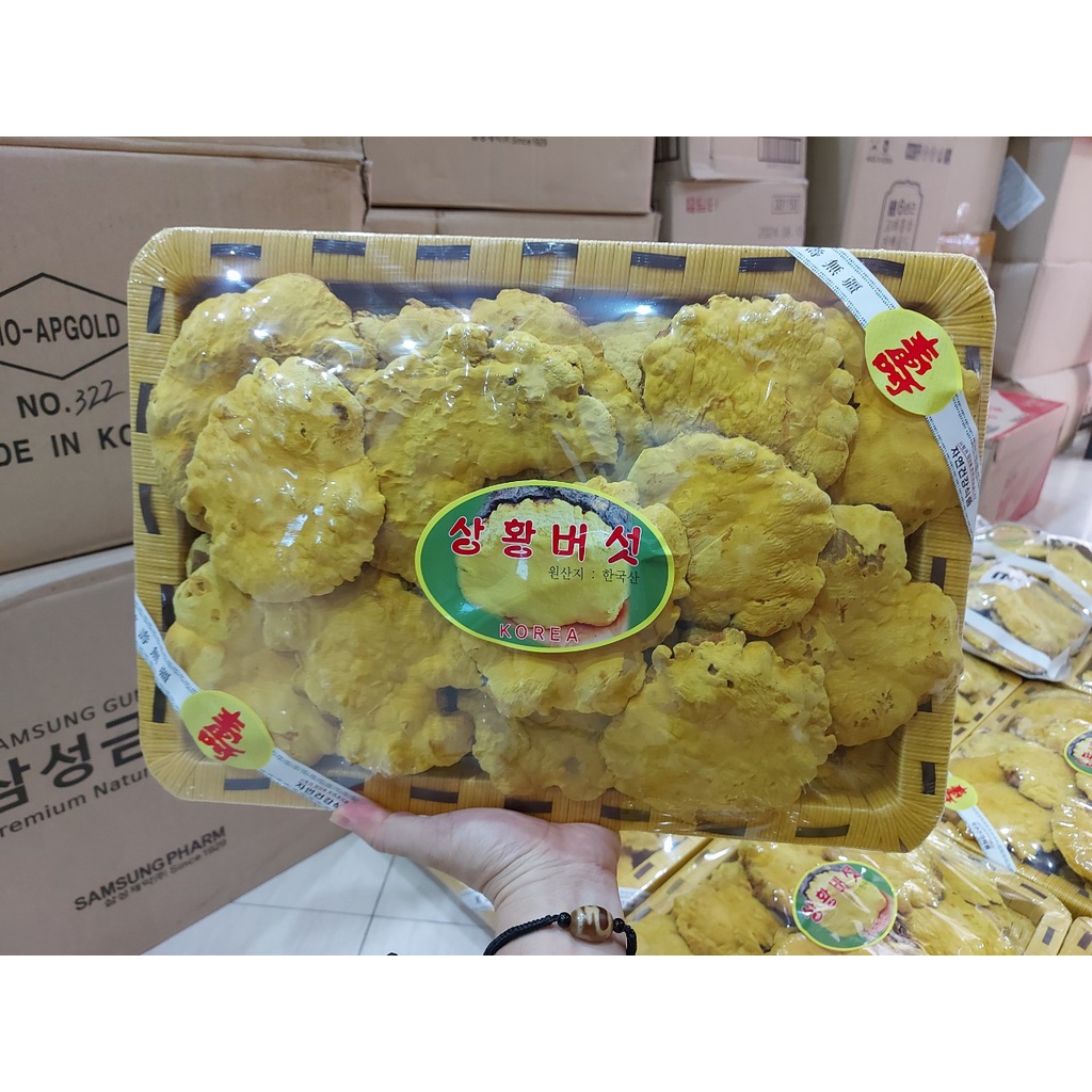 Nấm linh chi thượng hoàng Hàn Quốc