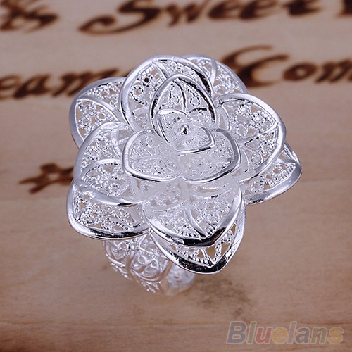 Nhẫn Hở Mạ BạC 14K KiểU DáNg ThờI Trang