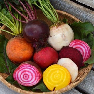 [Hạt Giống Mỹ] Củ Dền Cầu Vồng(Gói lẻ 100 hạt)