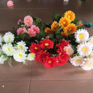 Cúc tàu cao cấp. 35k 1 cụm.combo 250k