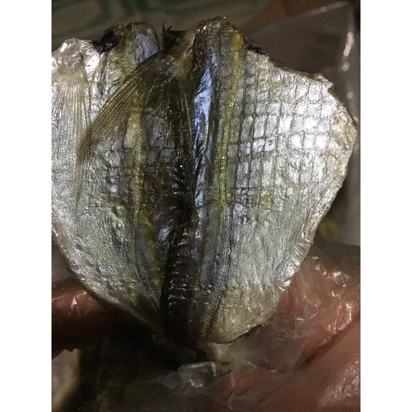CÁ CHỈ VÀNG LOẠI 1
