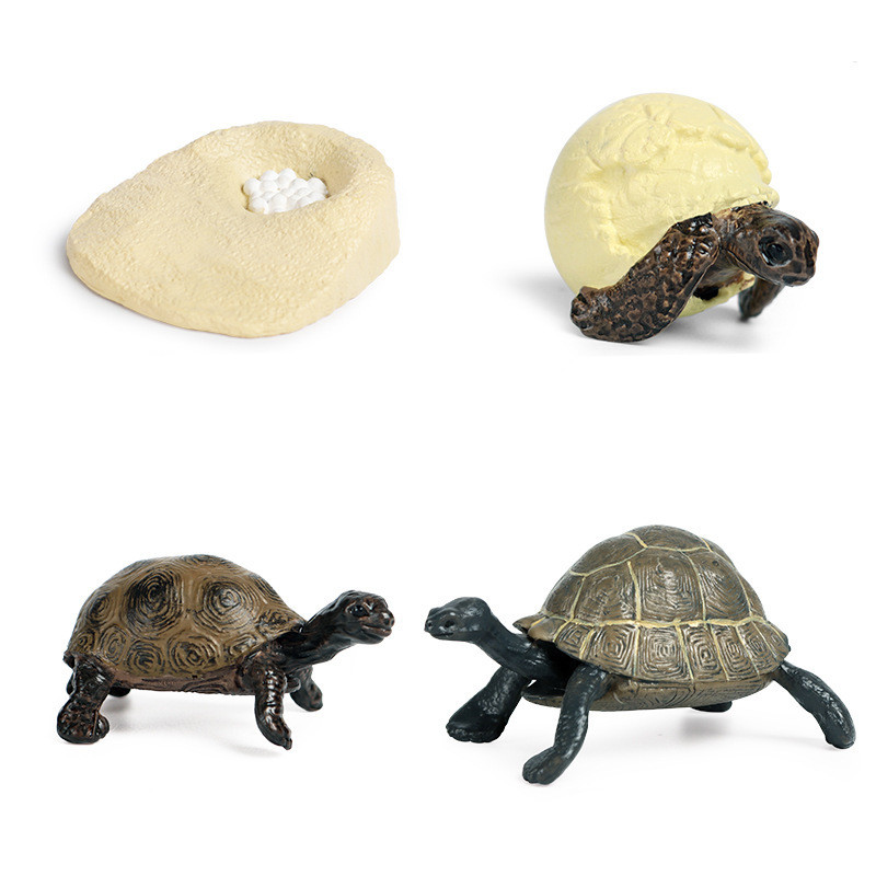 Set 4 mô hình đồ chơi rùa biển GOROCK dễ thương dành cho trẻ em