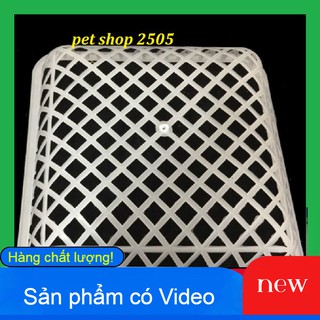 COMBO 5 Ổ ĐẺ NUÔI CHIM BỒ CÂU KÈM VANH SẮT-Ổ ĐẺ CHO CHIM CÂU GIÁ RẺ