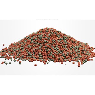 Thức ăn cá KOI, Ranchu, Cá Vàng 500ml