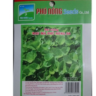 Hạt giống rau má dễ trồng