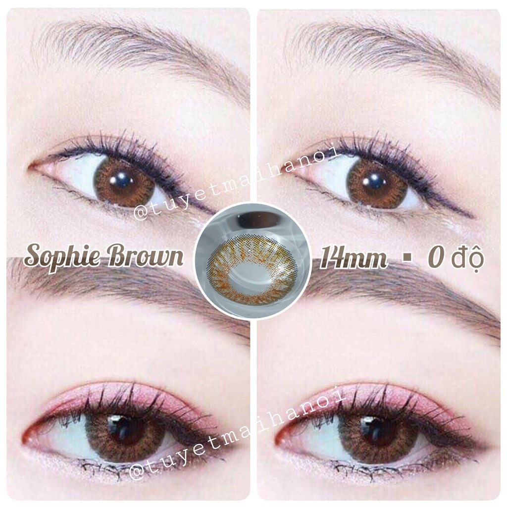 Lens Nâu Tây Sophie Brown 14mm 0 Độ - Kính Áp Tròng Vassen Hàn Quốc