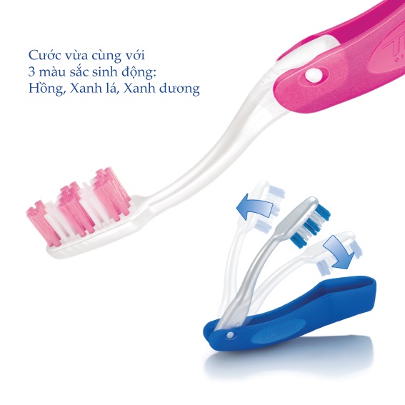 Bàn Chải Đánh Răng Trisa Travel