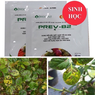 Phân Bón Lá Sinh Học PREV-B2 Dạng Gói