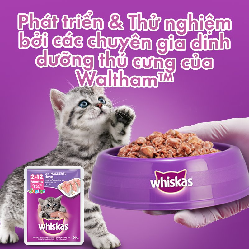 THức ăn cho mèo con pate whiskas 80g