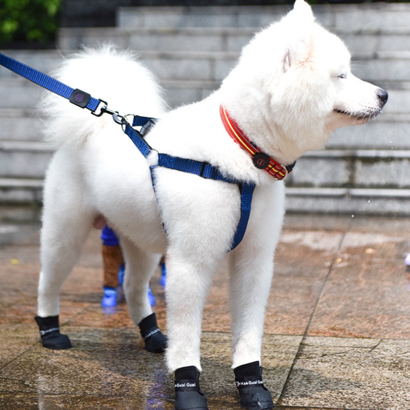 Giày Đi Mưa Cho Thú Cưng