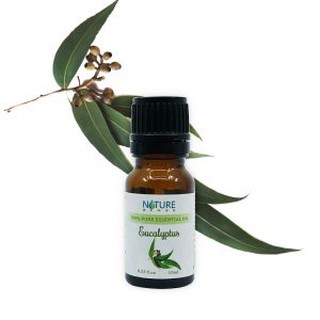 Tinh dầu khuynh diệp 10ml - 30ml naturesense