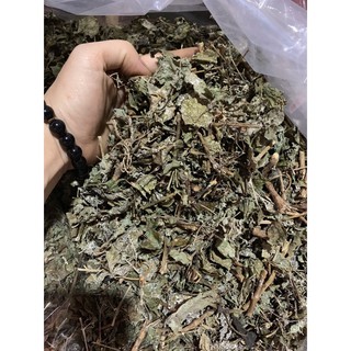 Cây chè dây khô