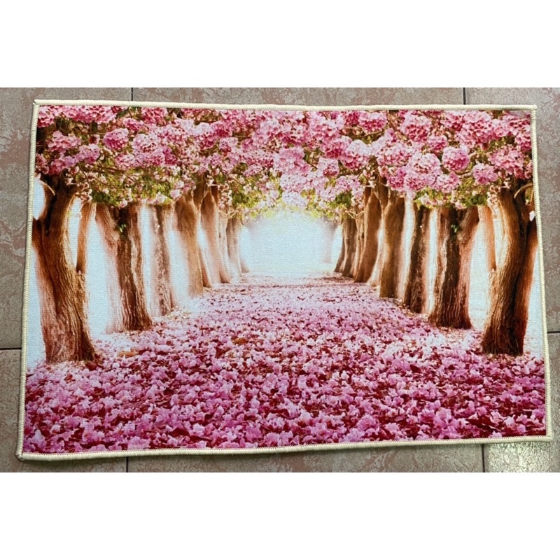 Thảm Chùi Chân 3D Siêu Thấm Nước Chống Trơn Trượt