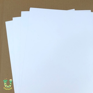 [Bán lẻ] Giấy bìa cứng A4 160gsm - 5 màu