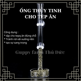 COMBO ống thủy tinh + chén cho tép và cá ăn, dụng cụ cho cá ăn đúng chỗ tránh làm bẩn nước