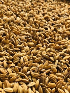Kê đỏ & Lúa - thức ăn: Chim Cảnh, Gà.. (Combo 2kg)