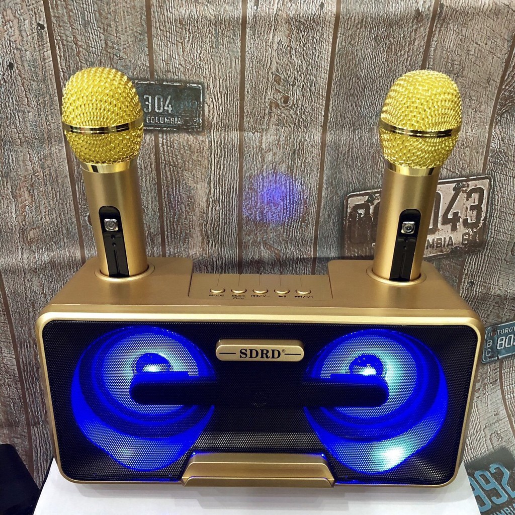 Loa karaoke mini SD-301 - tặng kèm 2 micro có đèn nhấp nháy theo nhạc dành cho karaoke trong gia đình, dễ dàng sử dụng
