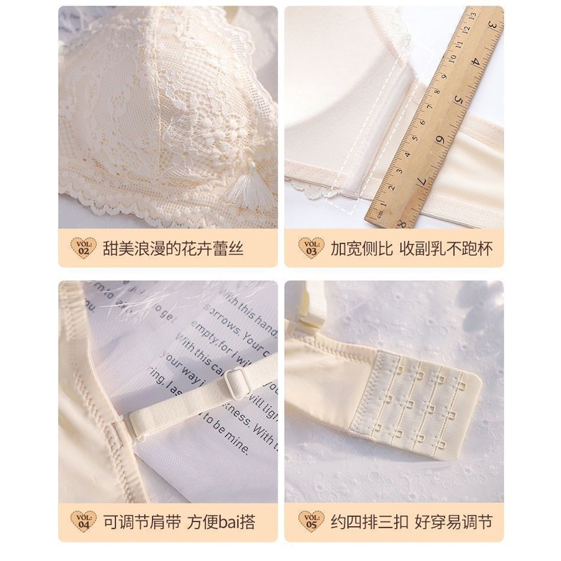 Áo ngực nữ chất ren mút mỏng - Áo lót không gọng 3 nấc cài bản to - chippe AL9