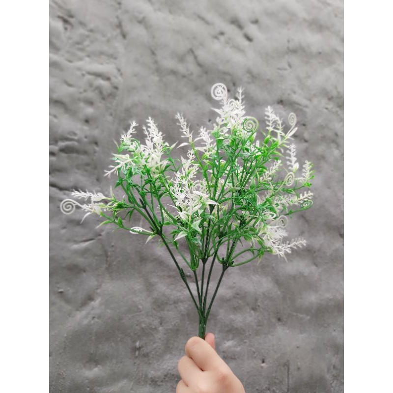 Cụm Cỏ điểm dấu hỏi