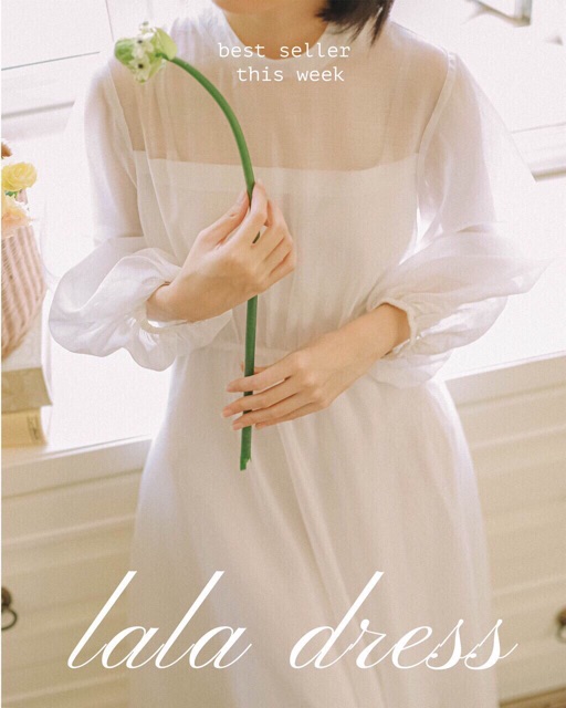 Đầm trắng ren lưới tiểu thư