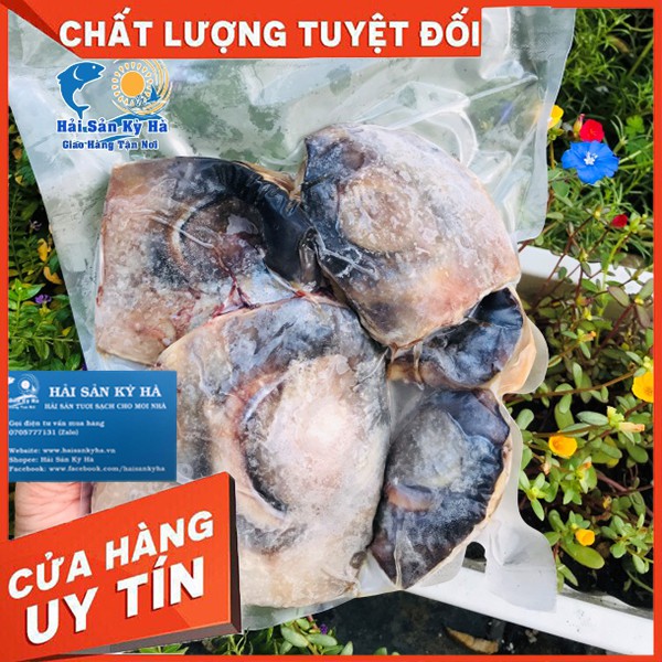 Giá Sỉ 1Kg Mắt Cá Ngừ Đại Dương - Giá Sỉ Rẻ Nhất