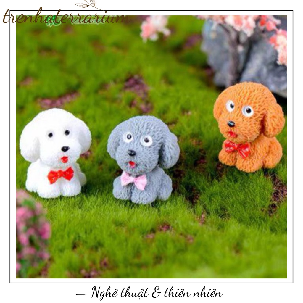 Tiểu cảnh một chú chó con Teddy terrarium cực cute trang trí sen đá