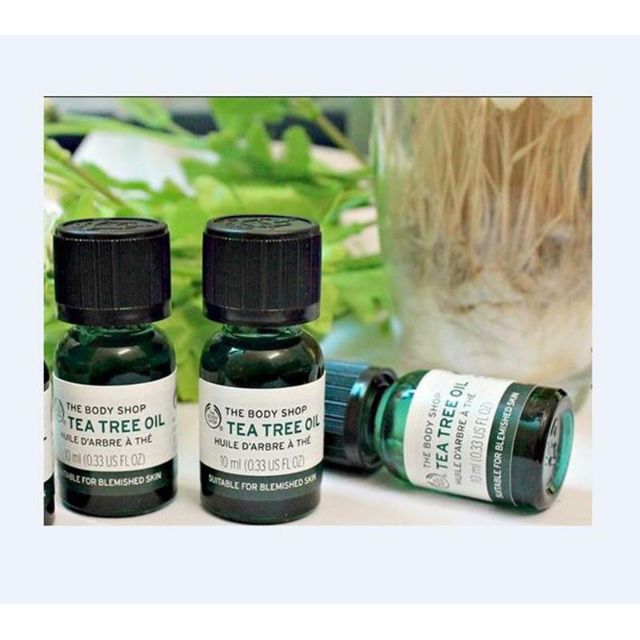 Tinh dầu tea tree oil