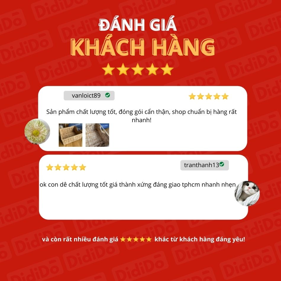 Combo 2 khay đựng đồ lục bình không kèm vải lót