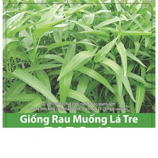 Hạt Giống Rau Muống Lá Tre Dễ Trồng, Năng Suất Cao 50gr